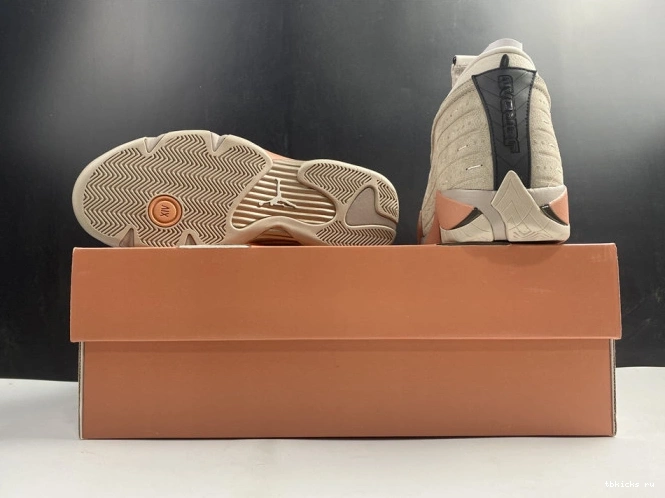 Rep TB 14 Retro Terra DC9857-200 Blush Low Jordan AIR Clot 0807